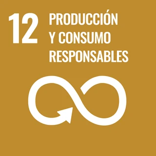 Objetivo de Desarrollo Sostenible 12: Garantizar modalidades de consumo y producción sostenibles