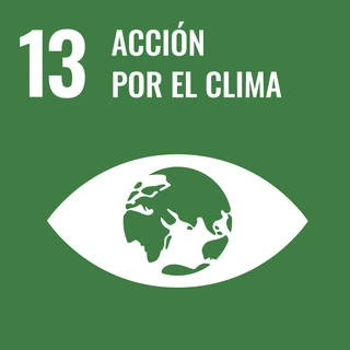 Objetivo de Desarrollo Sostenible 13: Adoptar medidas urgentes para combatir el cambio climático y sus efectos*