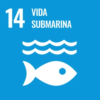 Objetivo de Desarrollo Sostenible 14: Conservar y utilizar sosteniblemente los océanos, los mares y los recursos marinos para el desarrollo sostenible
