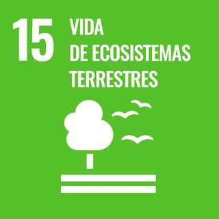 Objetivo de Desarrollo Sostenible 15: Proteger, restablecer y promover el uso sostenible de los ecosistemas terrestres, gestionar sosteniblemente los bosques, luchar contra la desertificación, detener e invertir la degradación de las tierras y detener la pérdida de biodiversidad