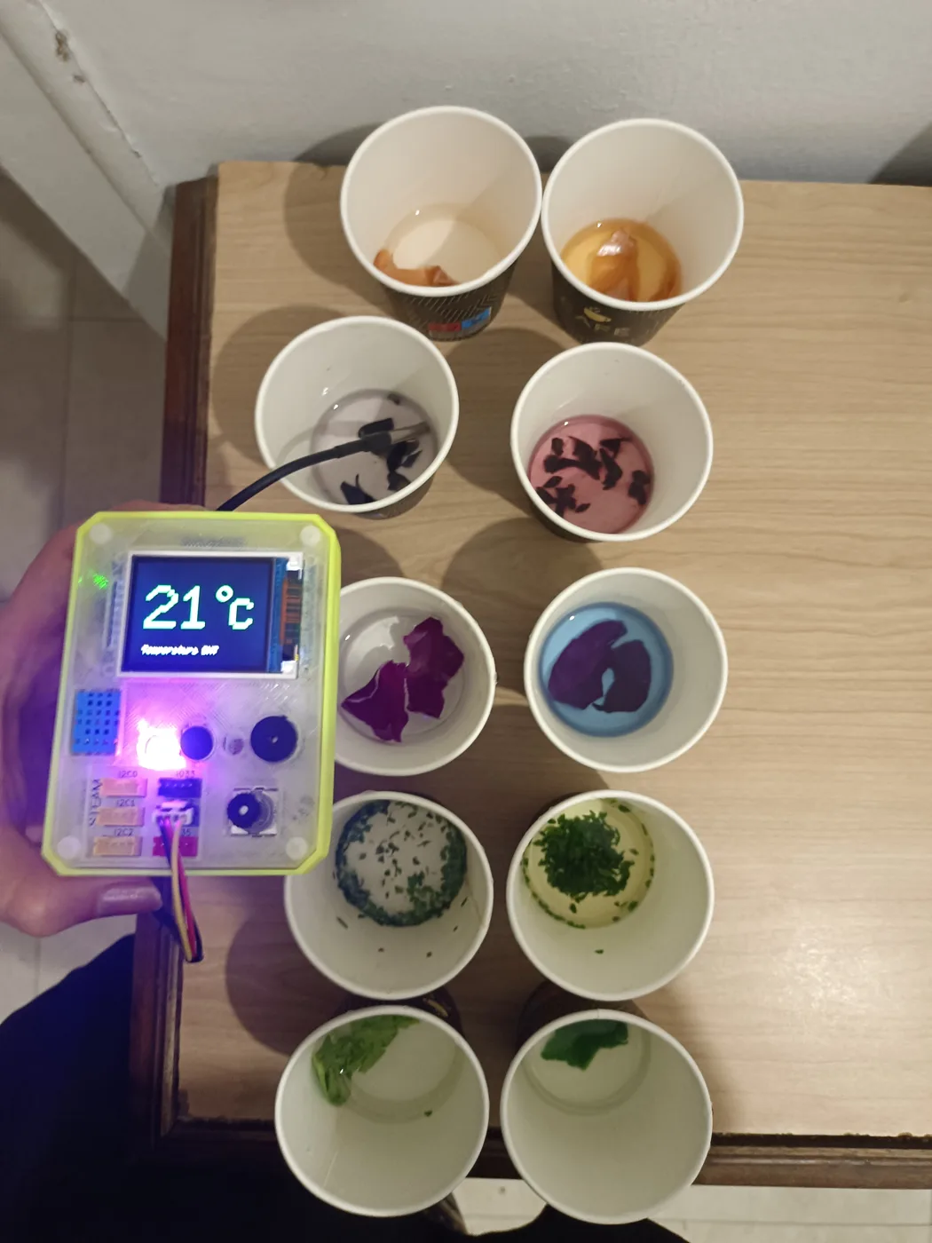 P-Bit measuring temperature next to the cups of a classroom experiment (Escola Joan Miró, 2024)