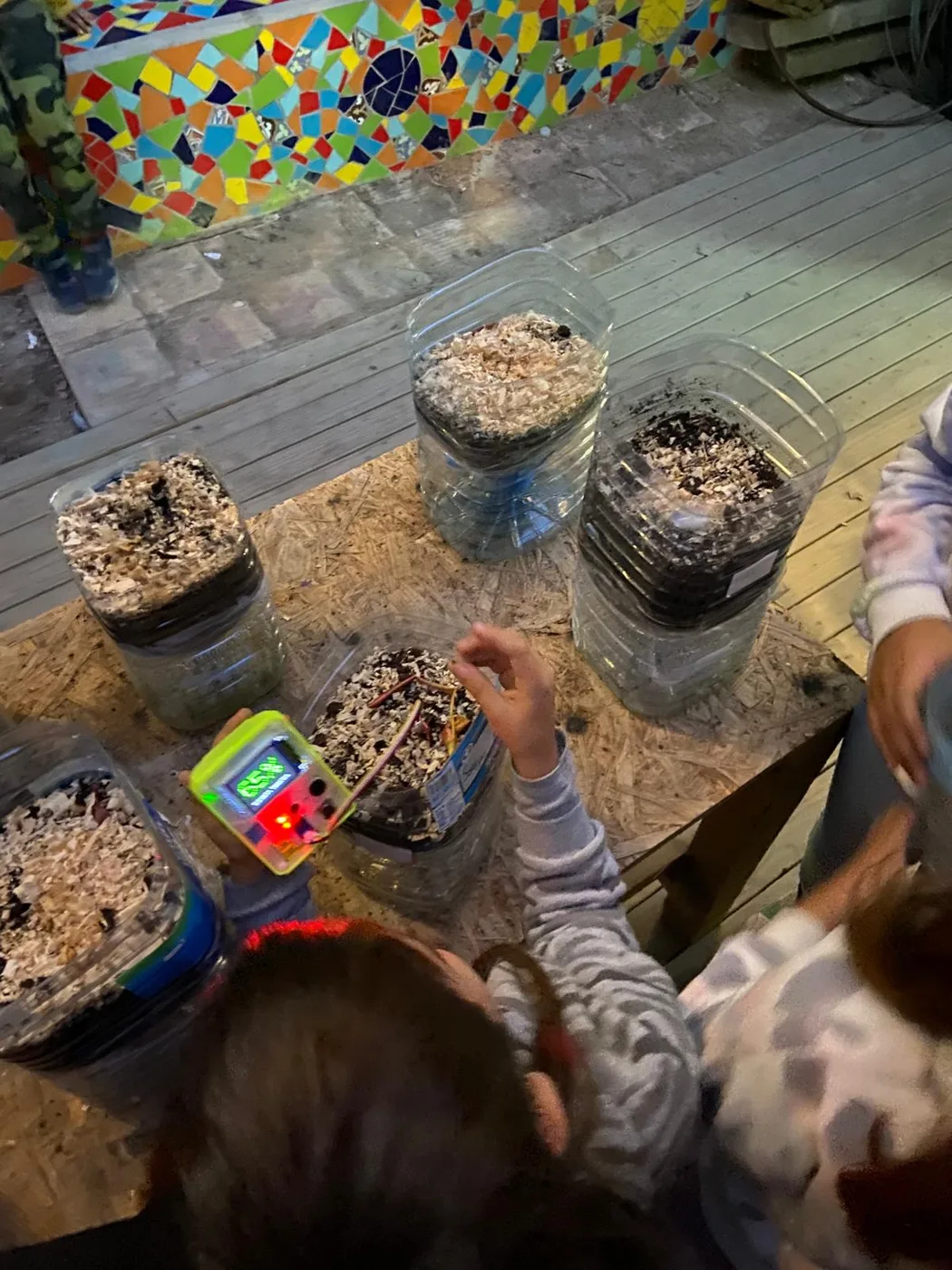 Students use the P-Bit to monitor their mushroom-growing jars in a real learning situation