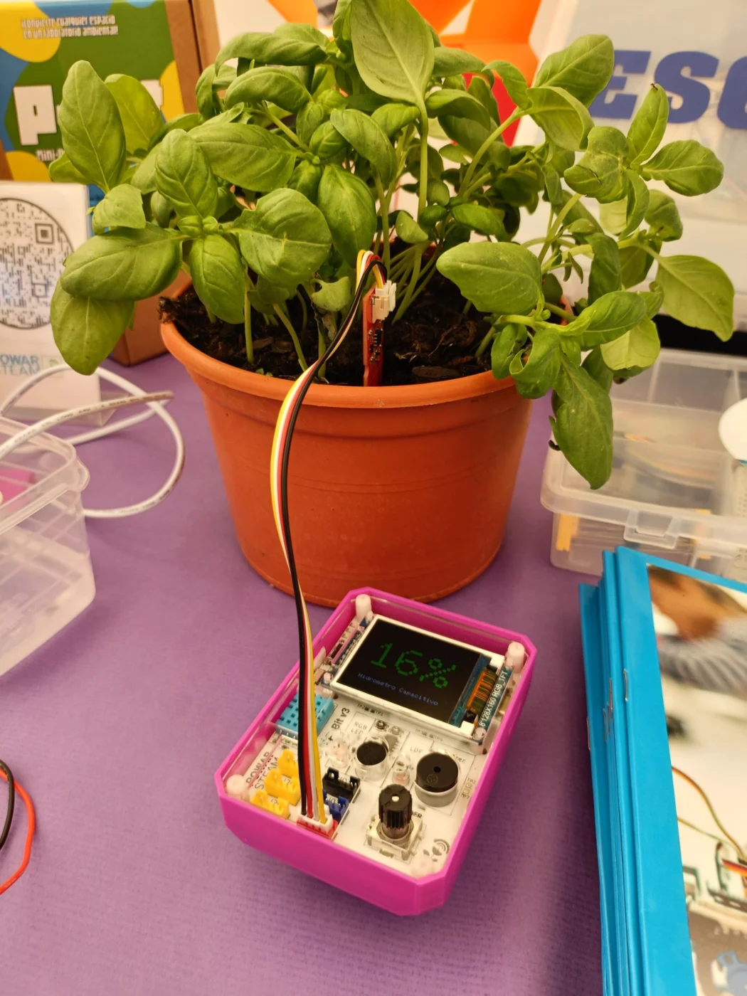 P-Bit v3 midiendo la humedad del suelo de una albahaca