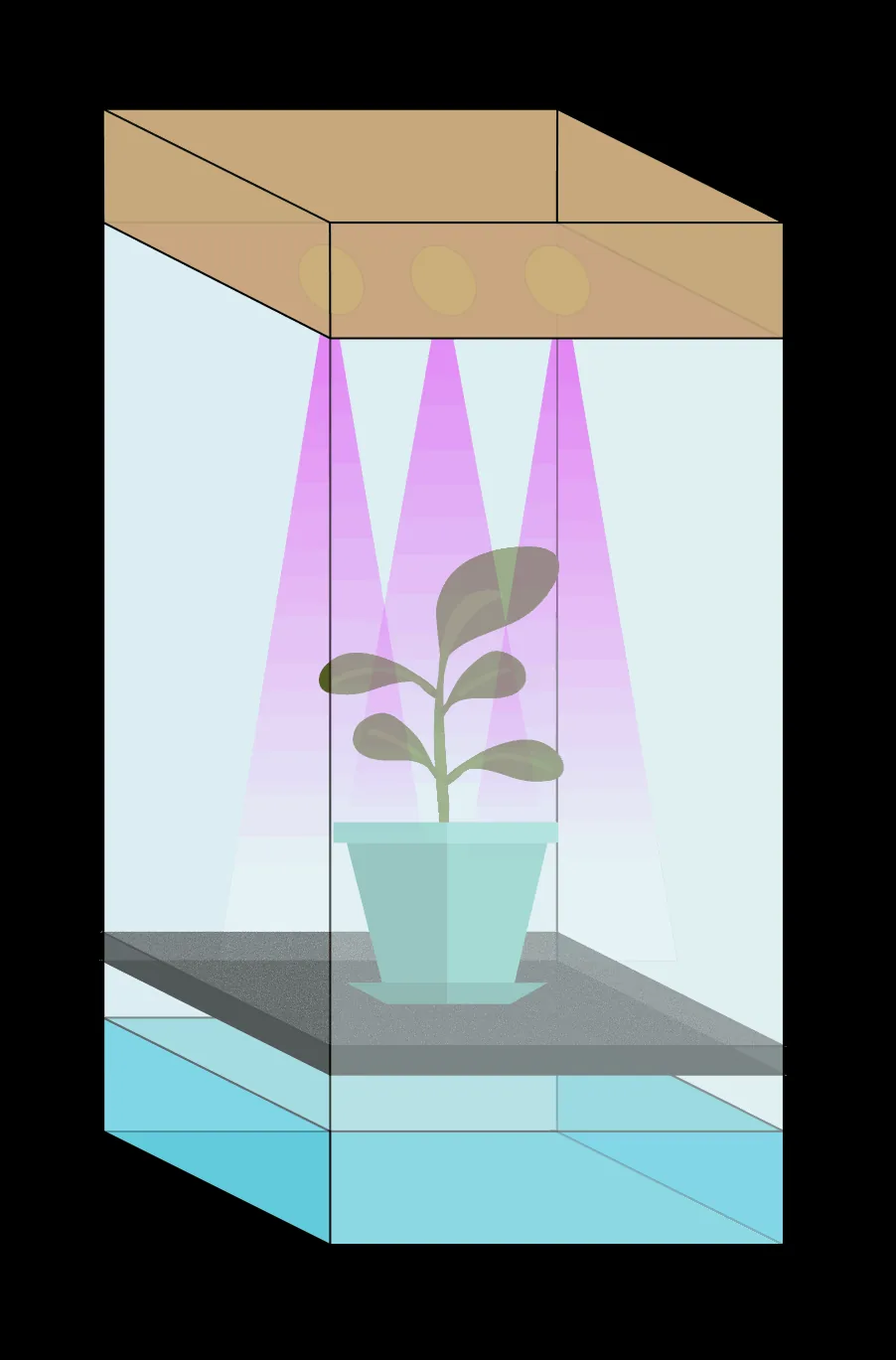 Illustration of the POWAR concept: a box with grow lights and a plant