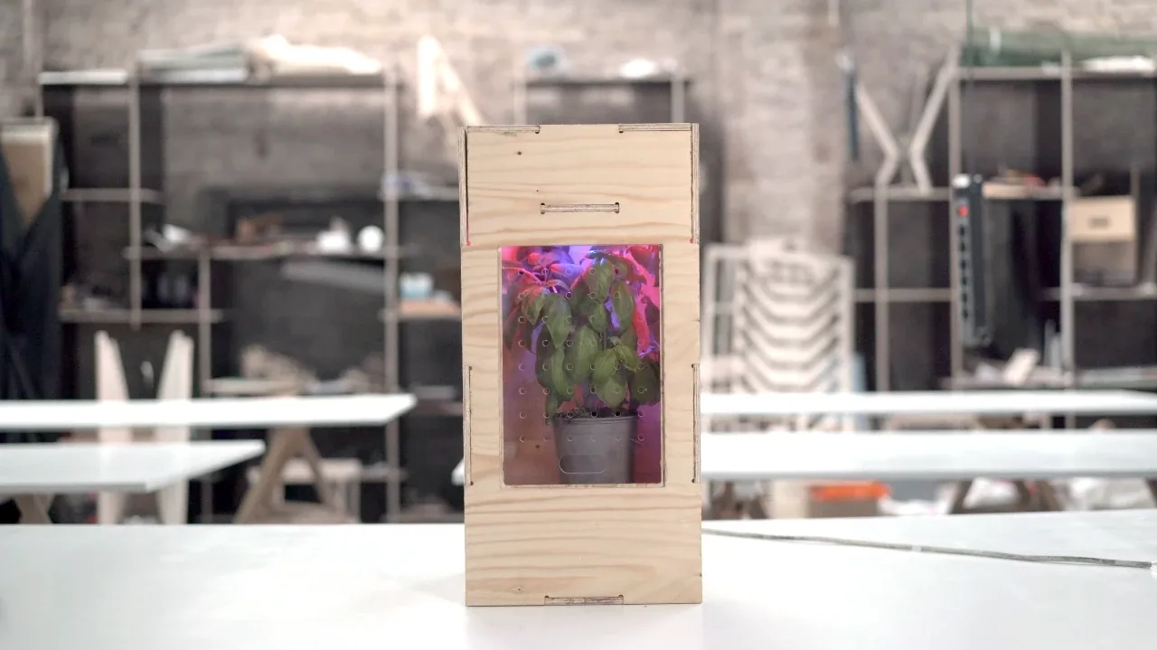 First POWAR prototype: a wooden box with a basil plant under grow lights